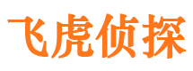 振兴市侦探调查公司